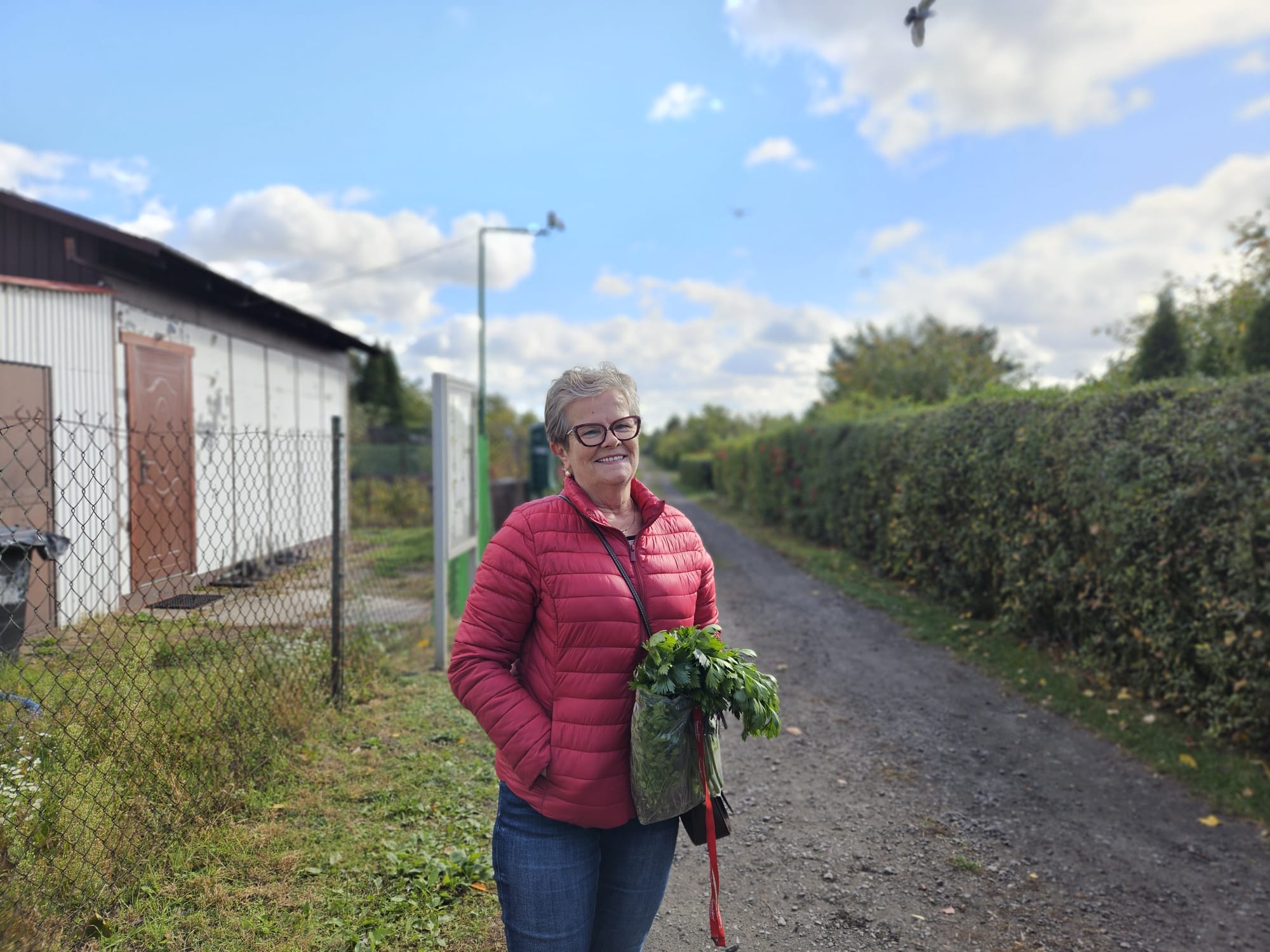 Złodzieje plądrują ogródki działkowe w Kutnie. Działkowcy apelują o monitoring