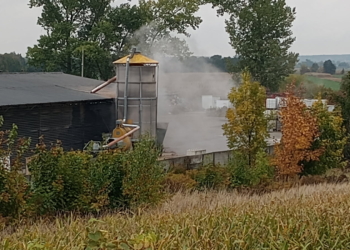 Skarżą się na hałas i pył. Suszarnia kukurydzy utrudnia życie mieszkańcom Sieradza