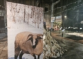 Łódź Design Festival ruszył w nietypowej odsłonie 3 20261008 185407 scaled