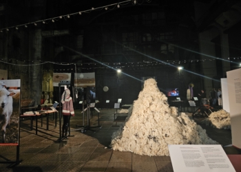 Łódź Design Festival ruszył w nietypowej odsłonie