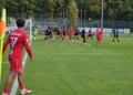 Strefa Kibica. Kolejka dubletów, pogrom w Nowym Dworze Mazowieckim
