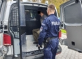 Rozbój w centrum Radomska. Napastnicy mieli użyć pałek i siekiery