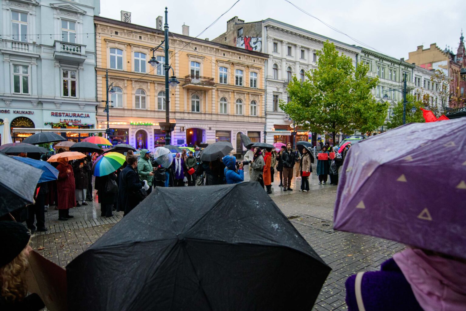 Czerwona kartka dla rządu fot Sebastian Szwajkowski (2) Czerwona kartka dla rzadu fot Sebastian Szwajkowski 2
