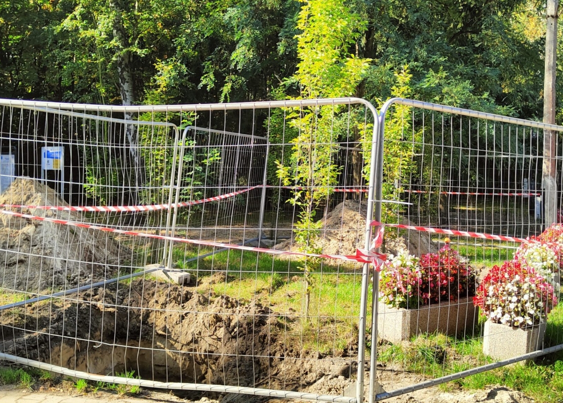 Zmiany w Parku Wolności w Pabianicach. Czego się spodziewać? 1 Zmiany w Parku Wolności w Pabianicach. Czego się spodziewać?