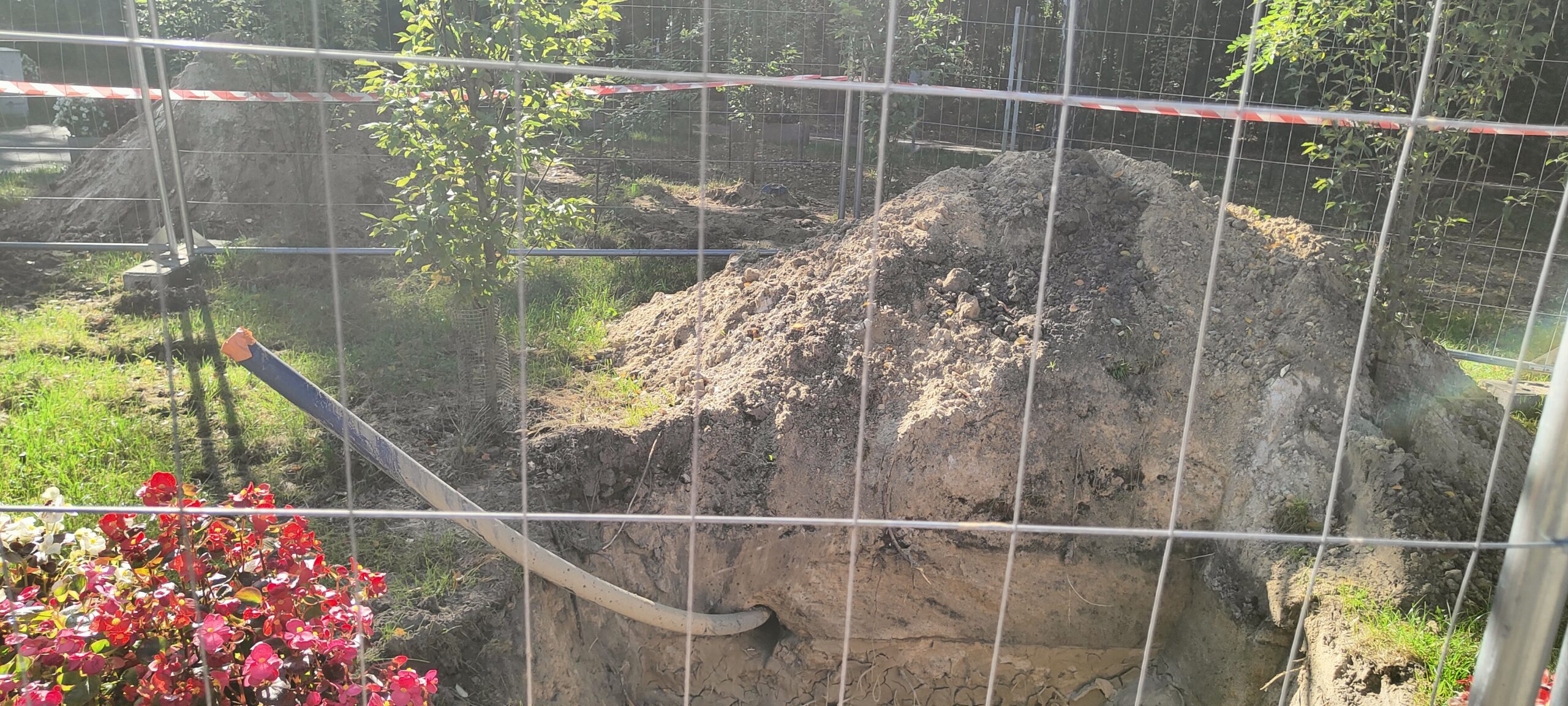 Zmiany w Parku Wolności w Pabianicach. Czego się spodziewać? 2 IMG20261006112042 scaled
