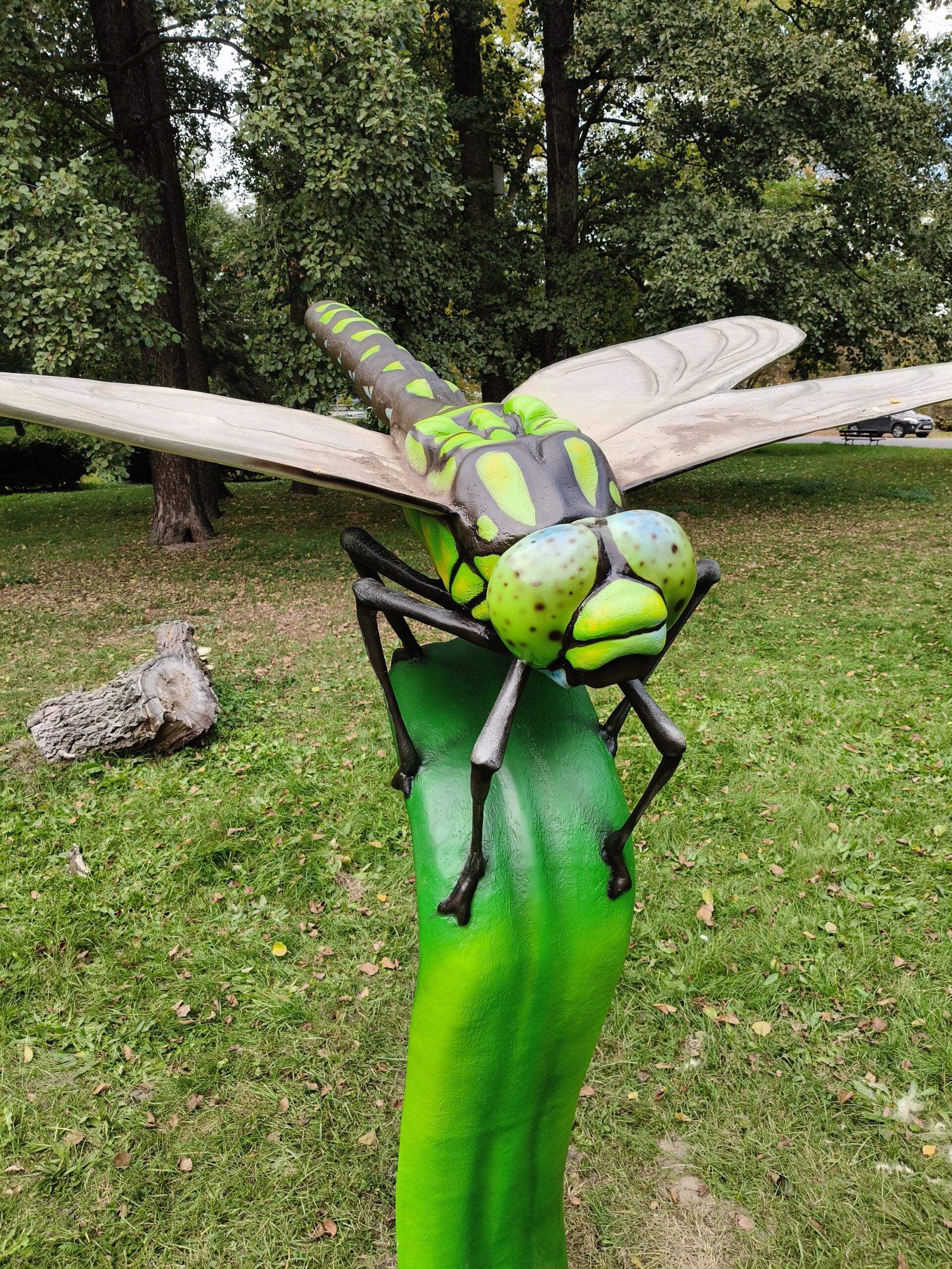 Gigantyczne owady znów opanowały park w Sieradzu. Dołączył do nich nowy okaz