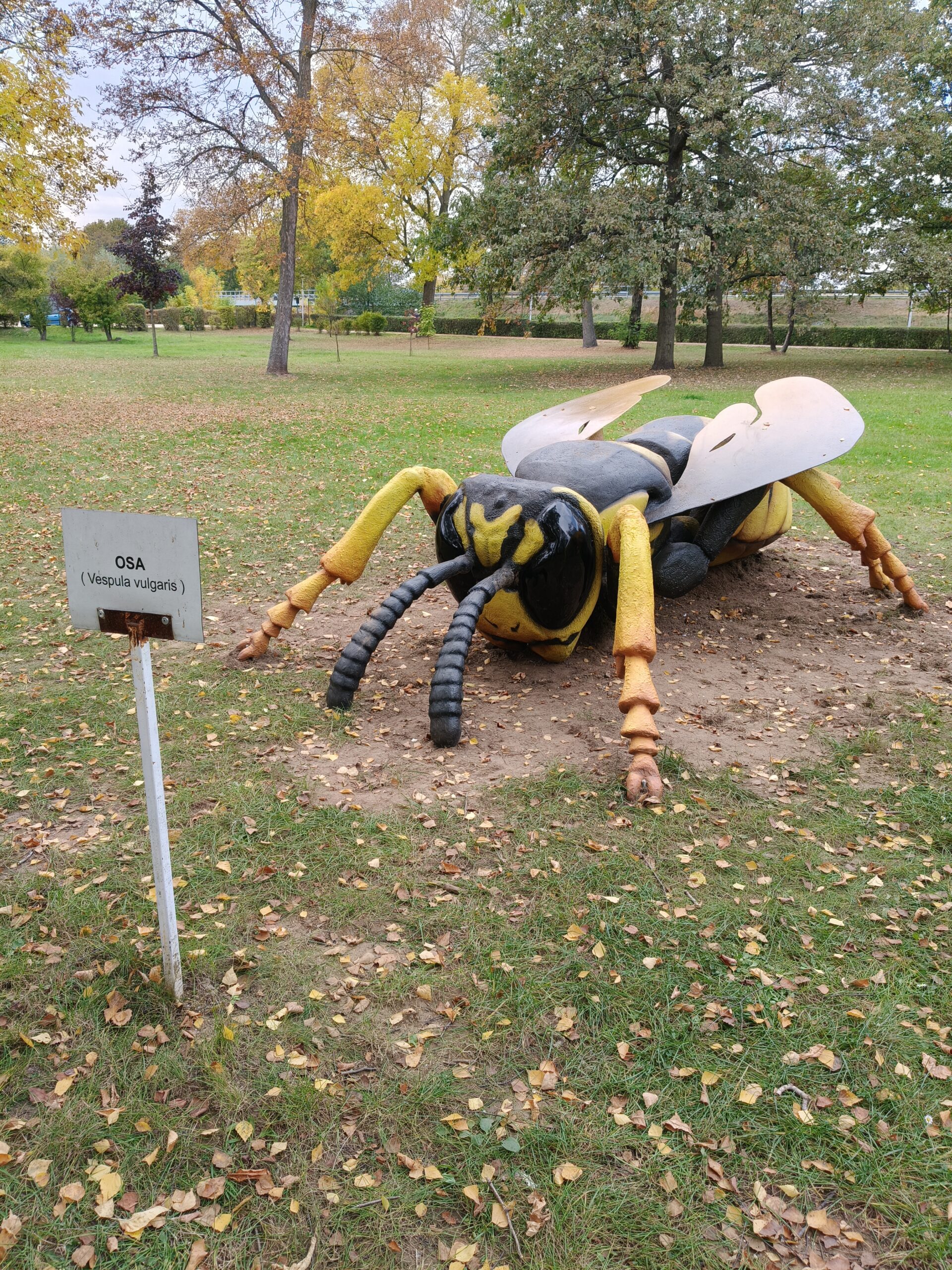 Gigantyczne owady znów opanowały park w Sieradzu. Dołączył do nich nowy okaz