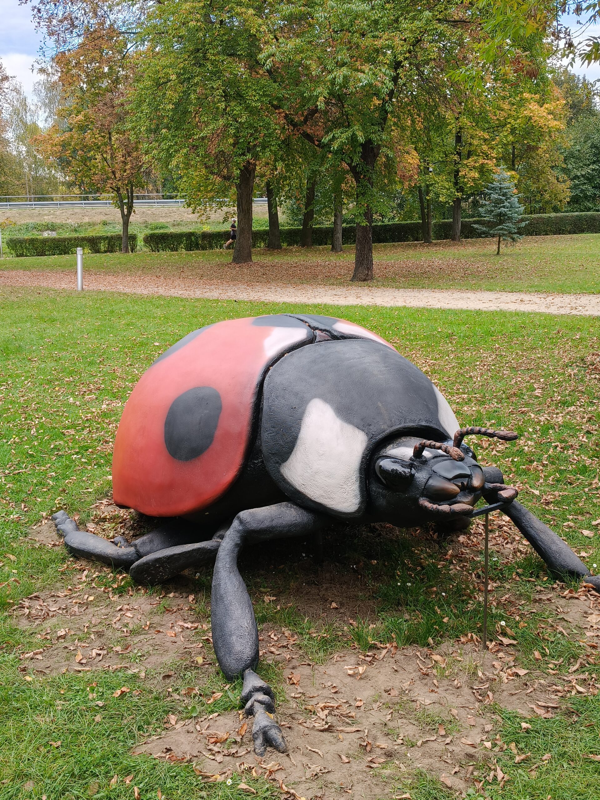 Gigantyczne owady znów opanowały park w Sieradzu. Dołączył do nich nowy okaz