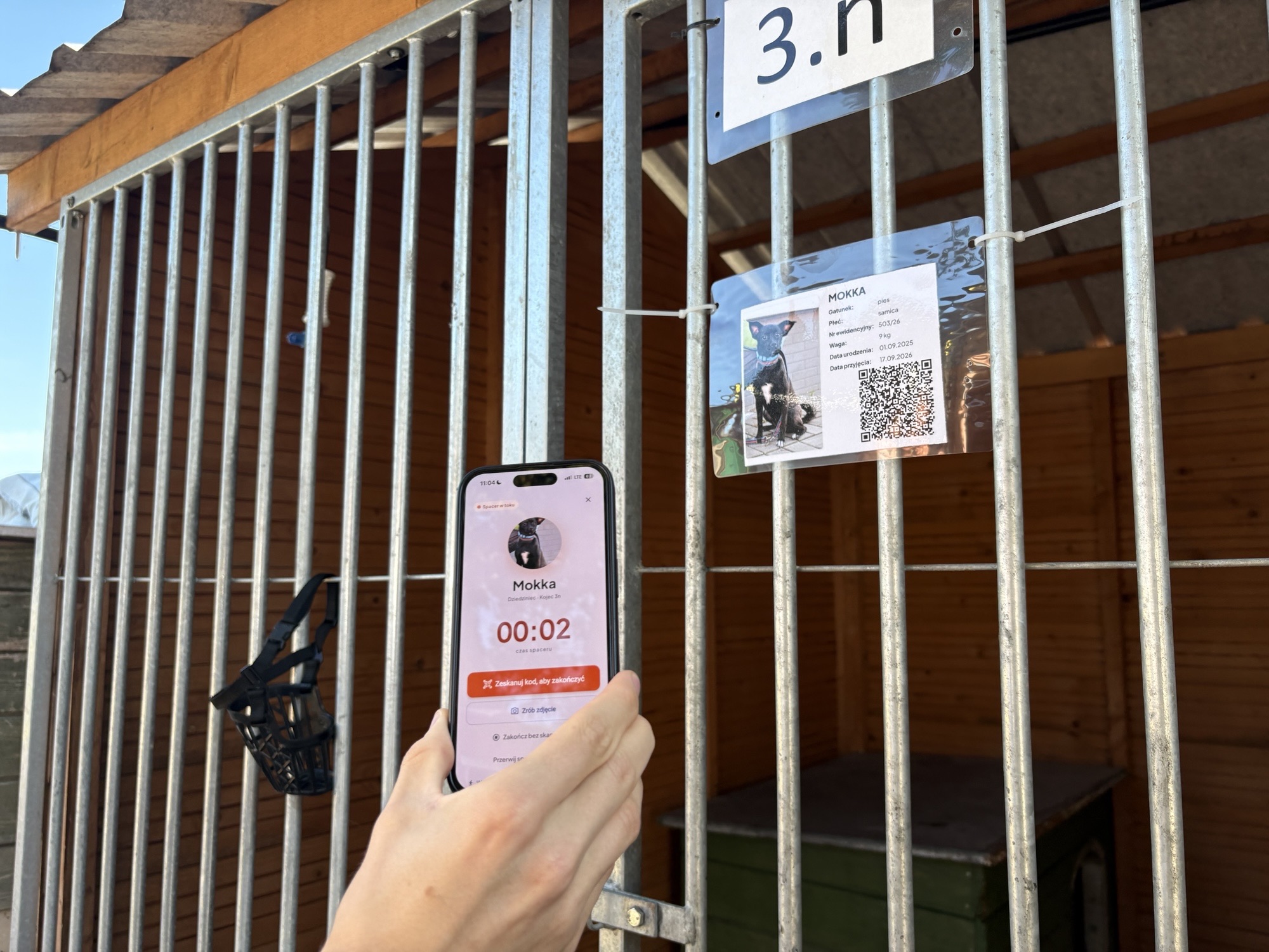 Łódzkie schronisko dla zwierząt ma aplikację mobilną. Wiemy jak działa