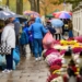 Wielkie przygotowania Łodzian do dnia Wszystkich Świętych