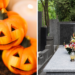 Halloween czy Wszystkich Świętych? Łodzianie o planach na najbliższy weekend 22 Halloween czy Wszystkich Świętych? Łodzianie o planach na najbliższy weekend