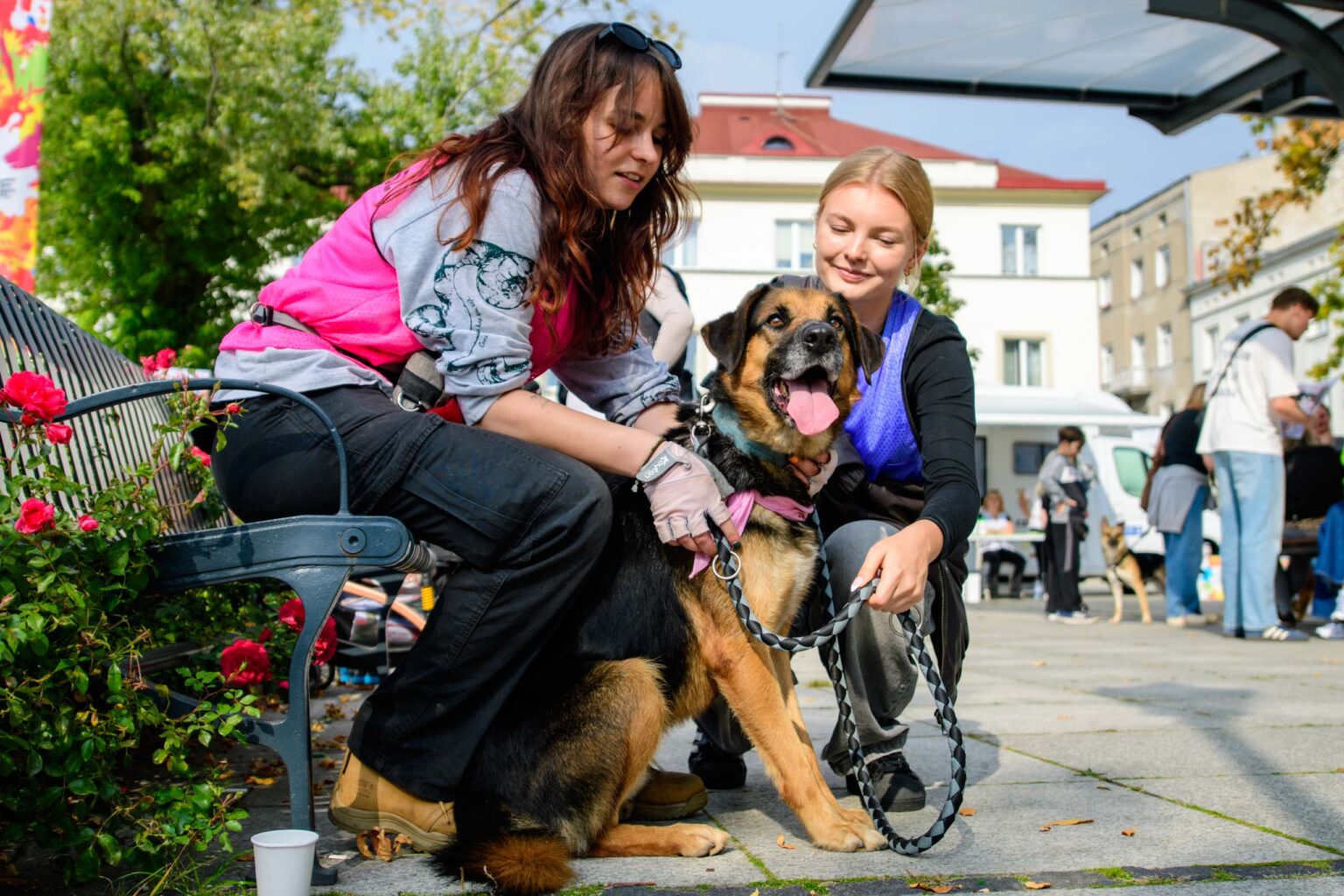 Swiatowy Dzien Zwierzat w Lodzi fot Sebastian Szwajkowski 8