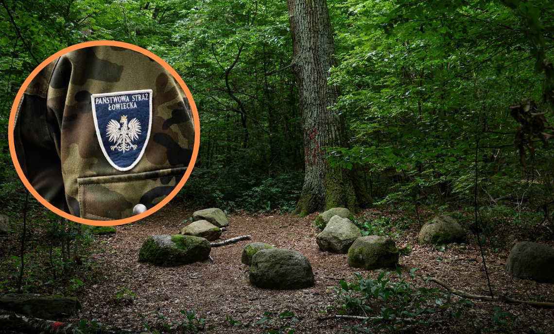Kontrole i fotopułapki w łódzkich lasach. Rusza akcja "Stroisz 2026"