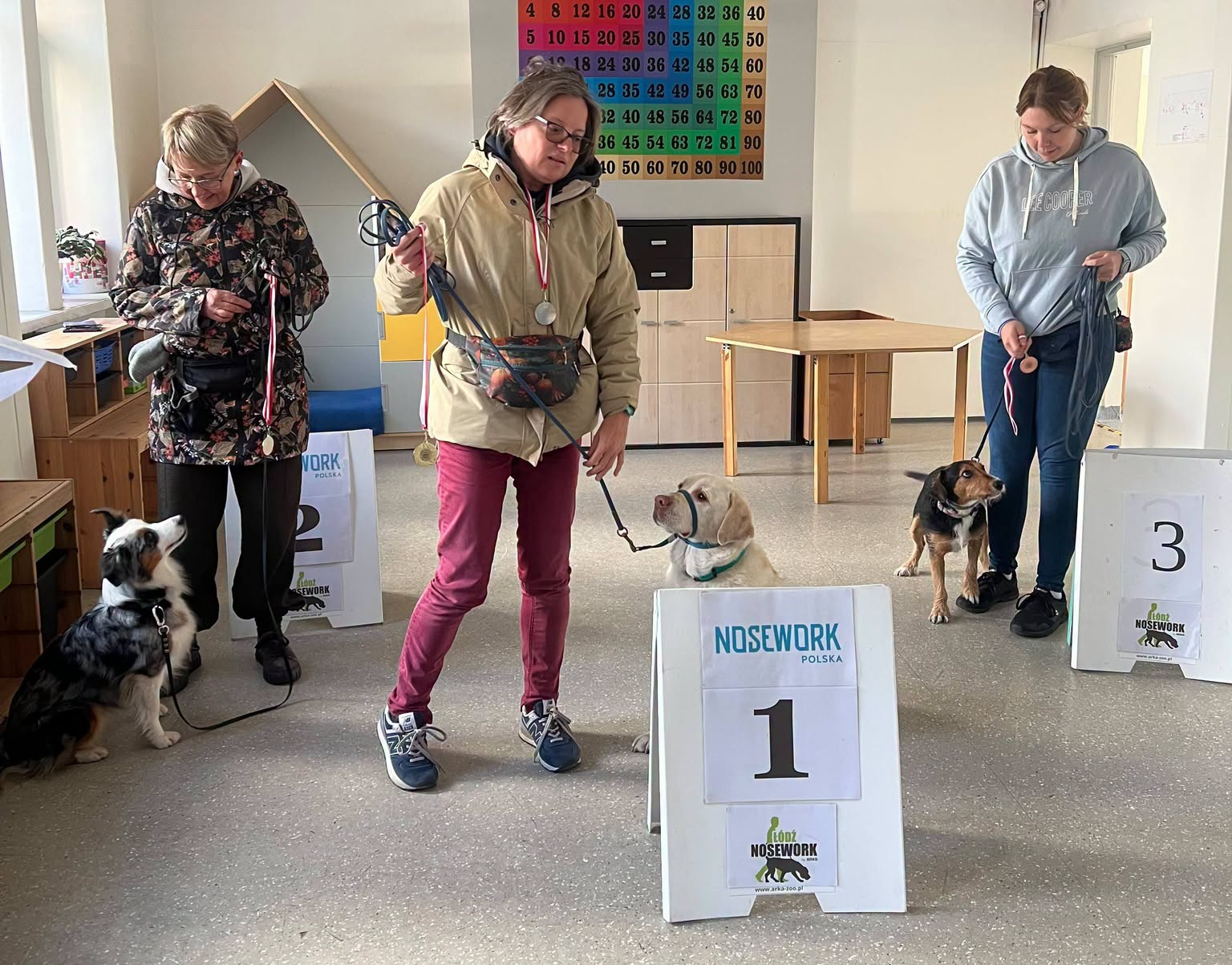 Nosework, czyli psi nos w akcji. Czworonogi rywalizowały w Łodzi