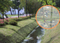 Nowa ulica w Radomsku rozwiąże problem korków. Miasto daje głos mieszkańcom