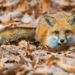 Pogoda na środę | Chwilowy powiew wysokiej temperatury [PROGNOZA]