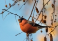 Ciepły i pogodny weekend w Łódzkiem. Temperatura do 22 stopni [PROGNOZA]