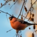 Ciepły i pogodny weekend w Łódzkiem. Temperatura do 22 stopni [PROGNOZA]