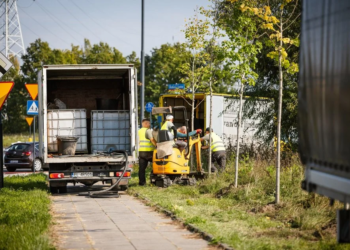 Aż 40 łódzkich ulic rozkwitnie na wiosnę. Jesienne nasadzenia trwają