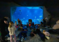 ZOO po zmroku w Łodzi. Zwiedzający odkrywają nocne życie zwierząt 10 ZOO po zmroku w Łodzi. Zwiedzający odkrywają nocne życie zwierząt