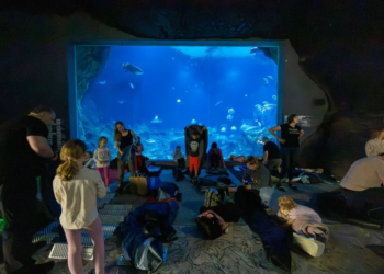 ZOO po zmroku w Łodzi. Zwiedzający odkrywają nocne życie zwierząt
