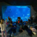 ZOO po zmroku w Łodzi. Zwiedzający odkrywają nocne życie zwierząt 6 ZOO po zmroku w Łodzi. Zwiedzający odkrywają nocne życie zwierząt