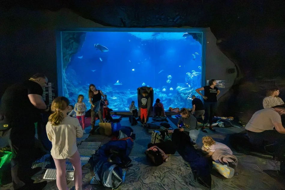 ZOO po zmroku w Łodzi. Zwiedzający odkrywają nocne życie zwierząt