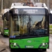 Darmowe autobusy MZK na Wszystkich Świętych w Piotrkowie Trybunalskim. Będą też zmiany tras