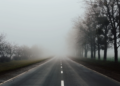 https://radiolodz.pl/wp-content/uploads/2025/12/misty-foggy-spring-morning-road-with-trees-sidelines-scaled.jpg