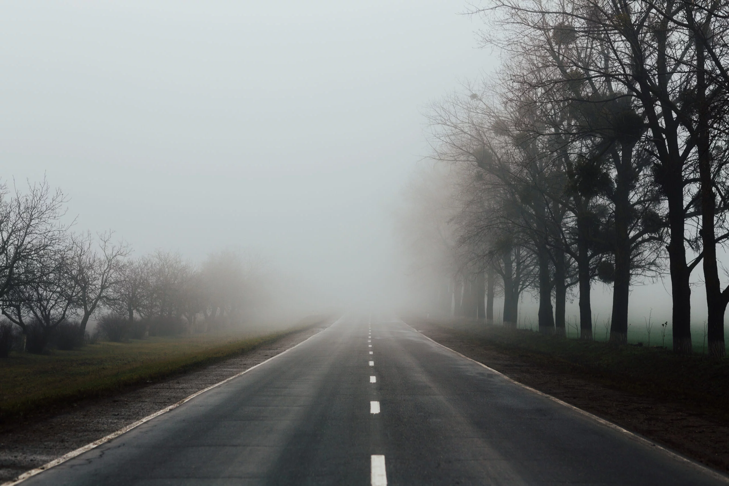https://radiolodz.pl/wp-content/uploads/2025/12/misty-foggy-spring-morning-road-with-trees-sidelines-scaled.jpg