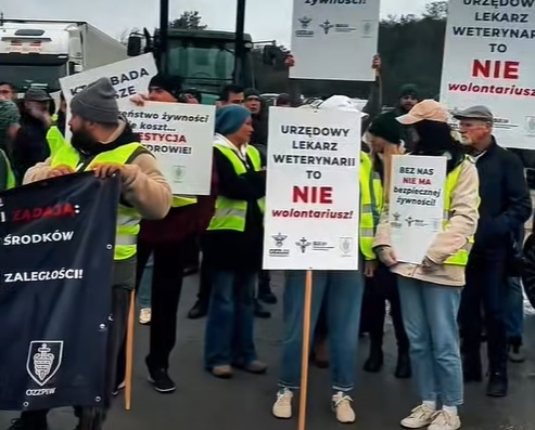 Weterynarze protestują w Kutnie