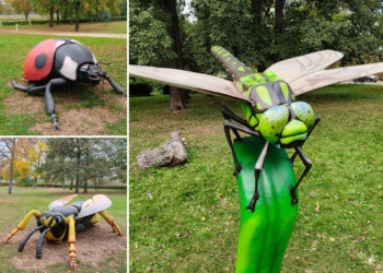 Gigantyczne owady znów opanowały park w Sieradzu. Dołączył do nich nowy okaz