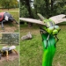 Gigantyczne owady znów opanowały park w Sieradzu. Dołączył do nich nowy okaz