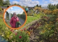 Złodzieje plądrują ogródki działkowe w Kutnie. Działkowcy apelują o monitoring 2 Złodzieje plądrują ogródki działkowe w Kutnie. Działkowcy apelują o monitoring