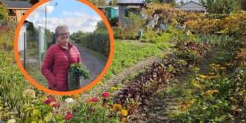 Złodzieje plądrują ogródki działkowe w Kutnie. Działkowcy apelują o monitoring