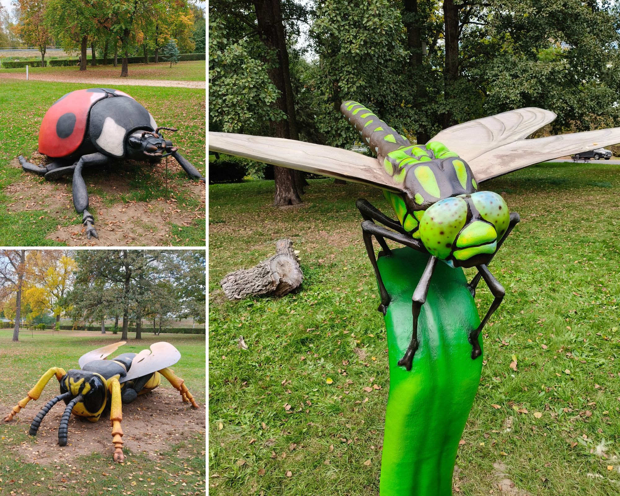 Gigantyczne owady znów opanowały park w Sieradzu. Dołączył do nich nowy okaz