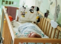 Wpisy 1 234 małych podopiecznych przez 10 lat. Tuli Luli świętuje jubileusz